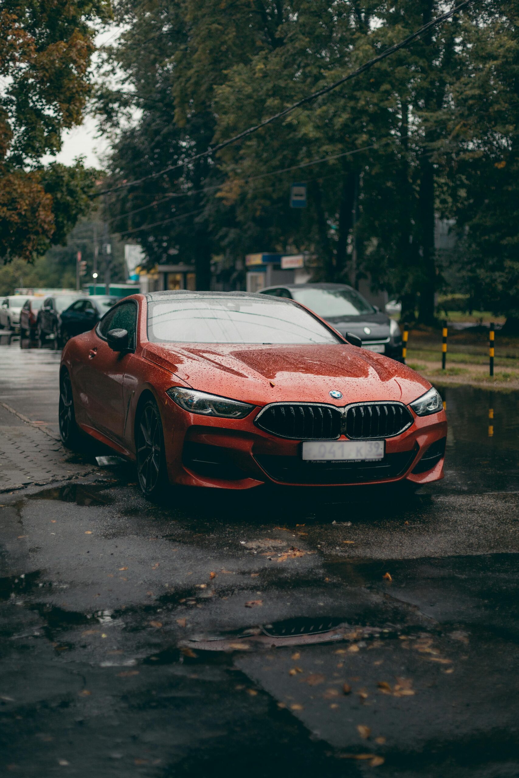 Stylish red BMW coupe parked on a wet street surrounded by trees.